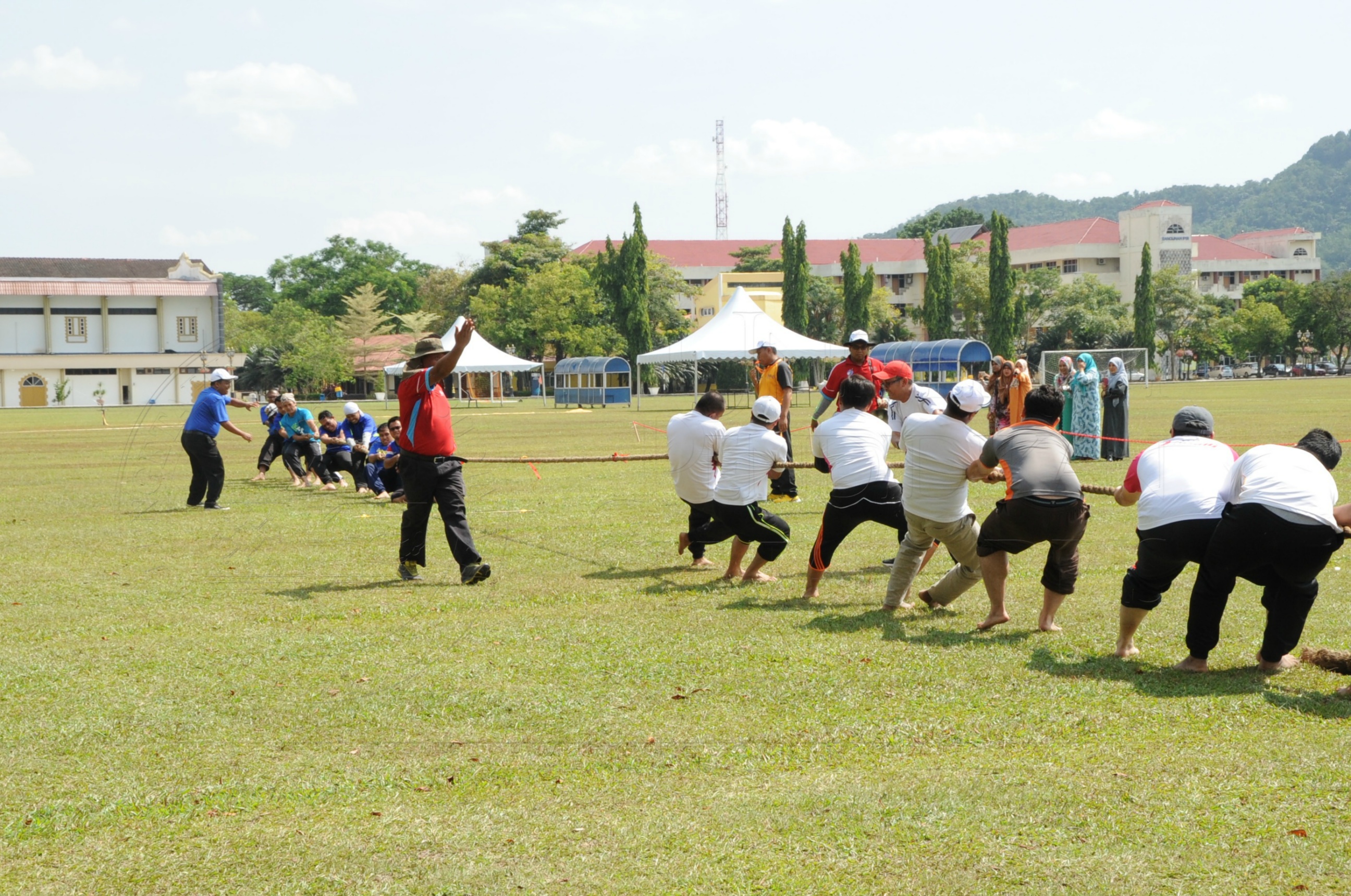 11 April 2016 Tarik Tali